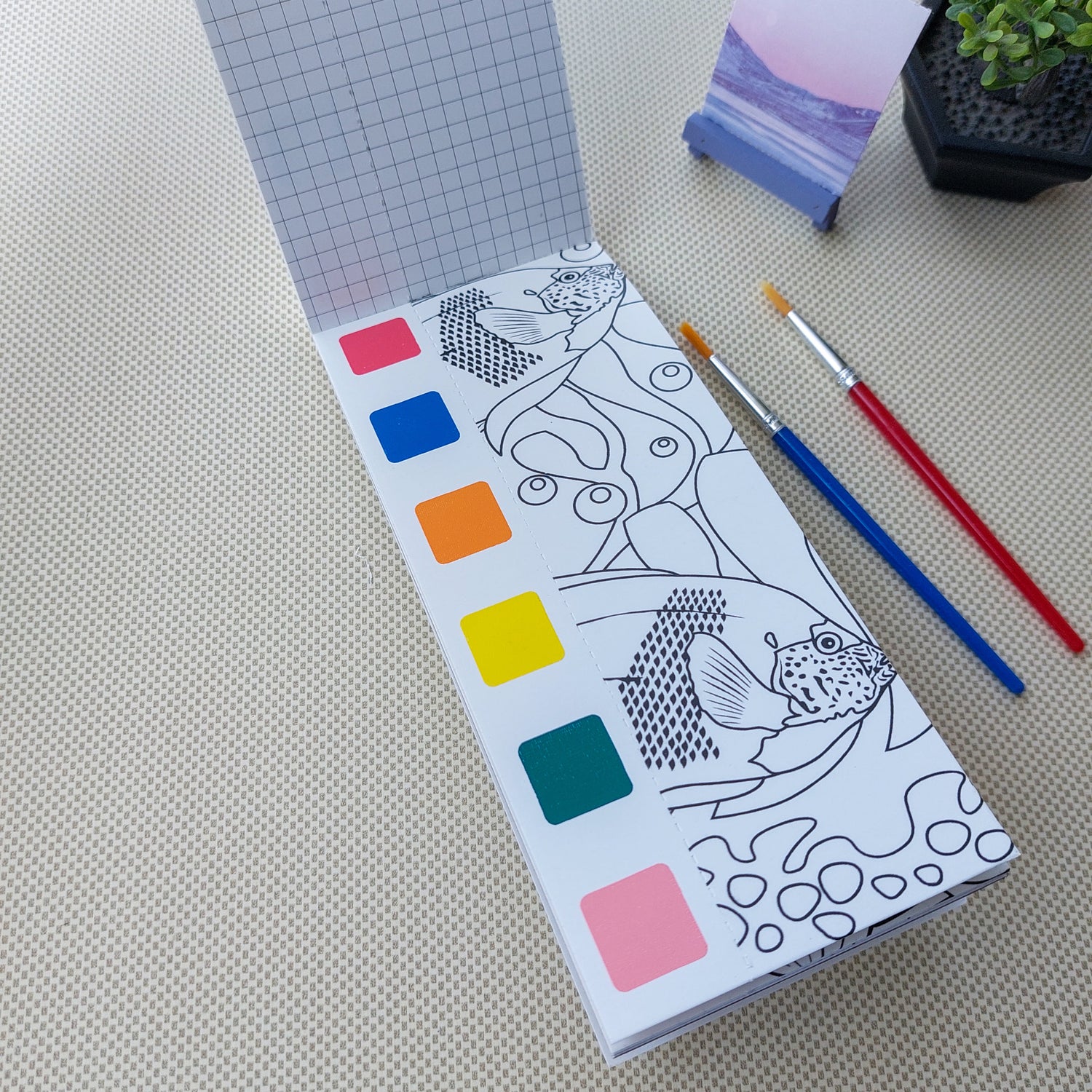 Water Coloring Books Marine Life