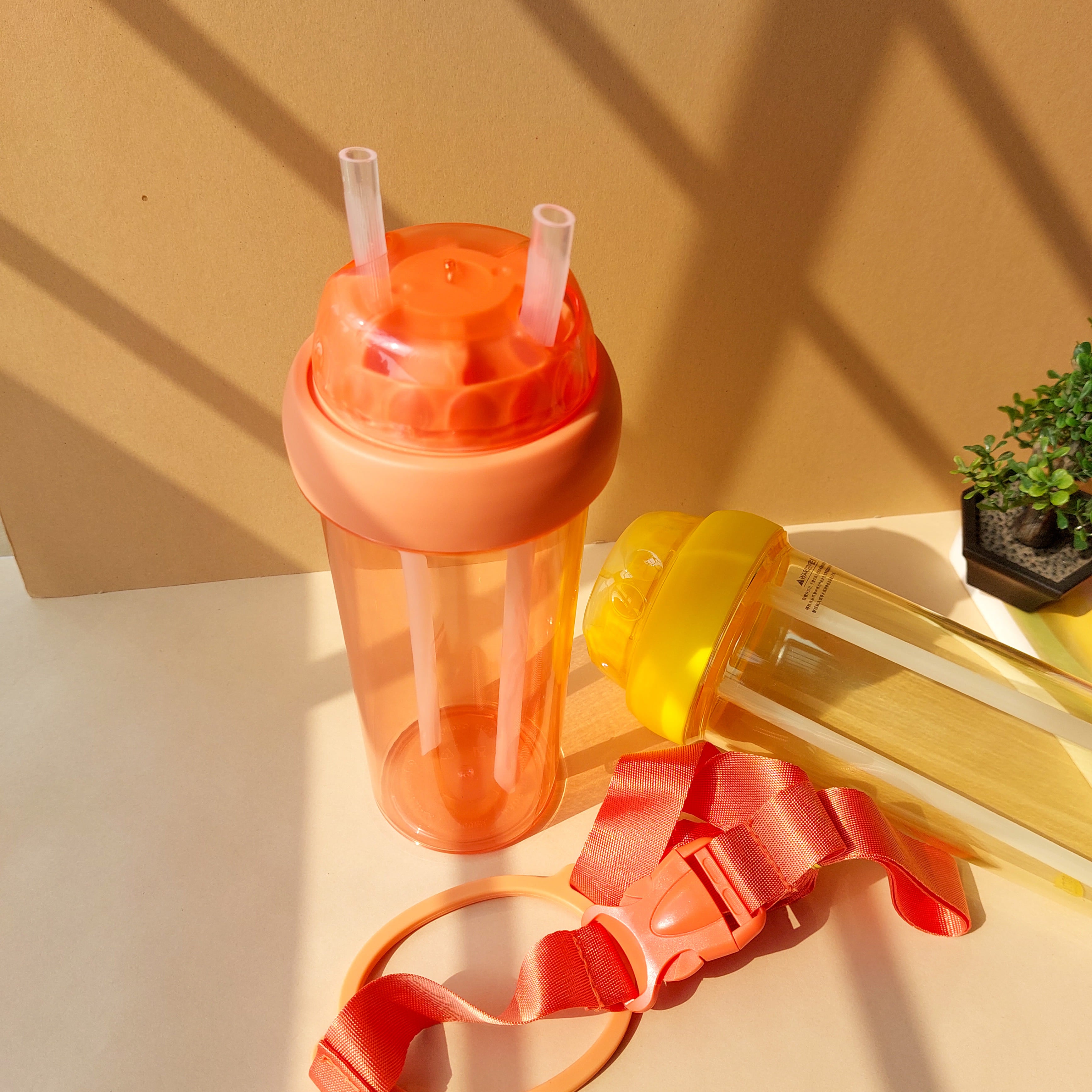 Double Straw Bottles 700ml