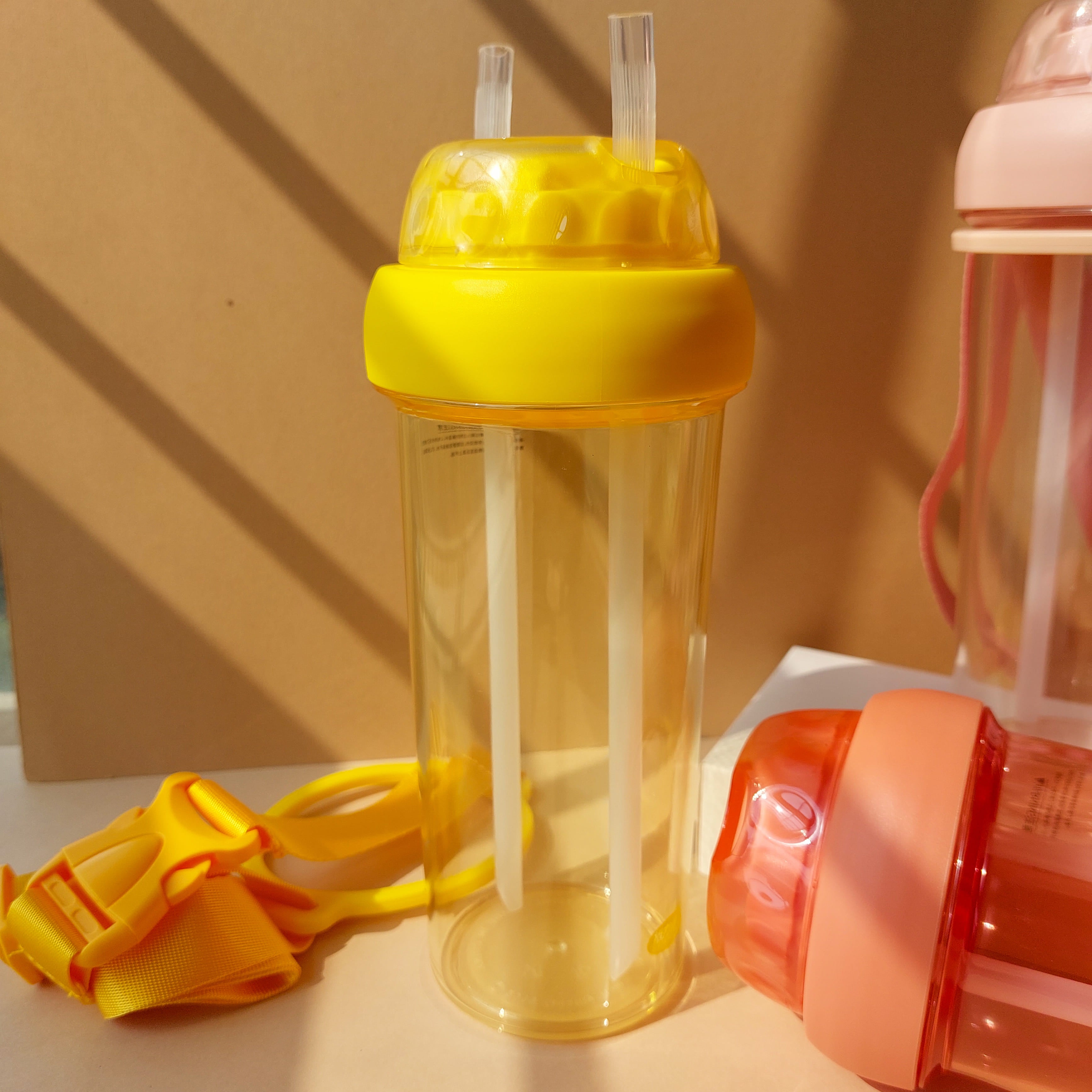 Double Straw Bottles 700ml