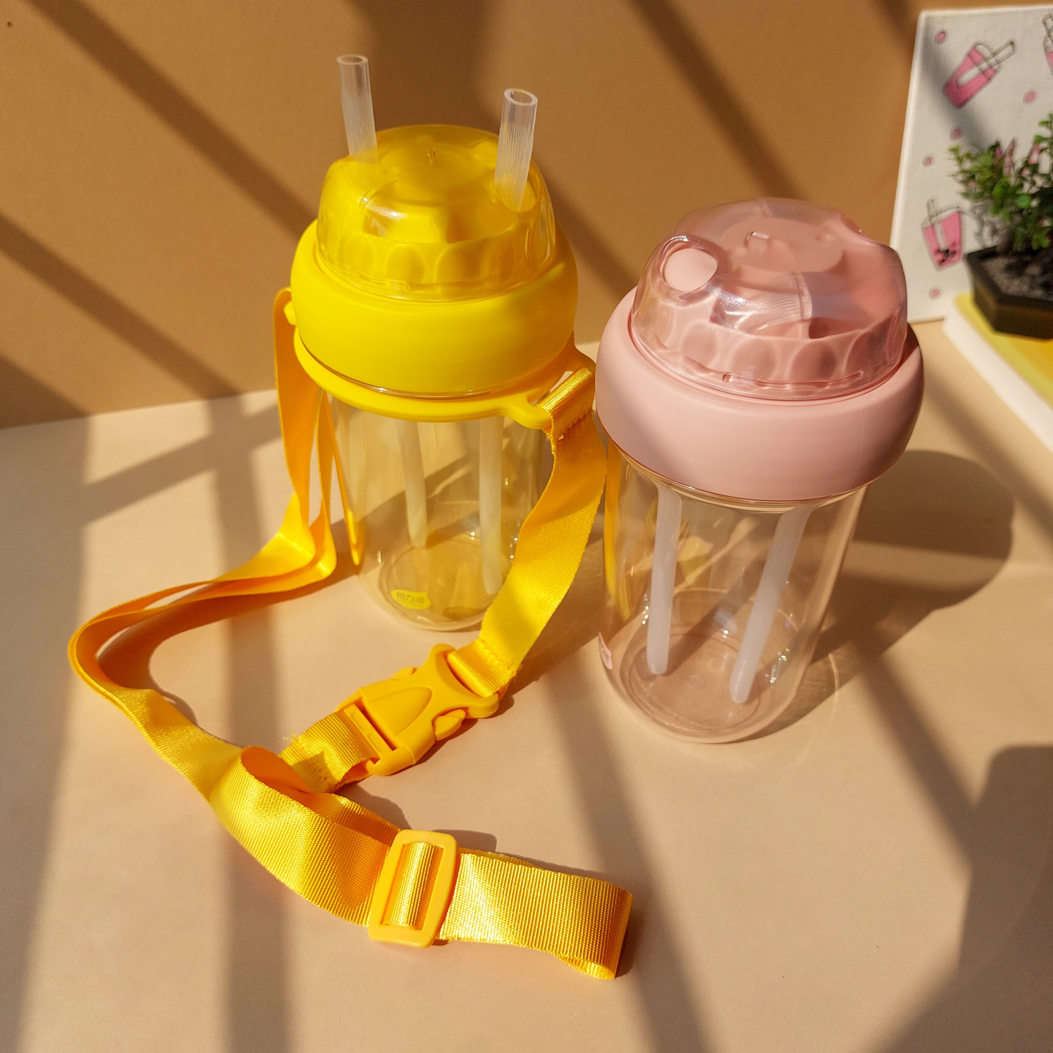 Double Straw Bottles 560ml