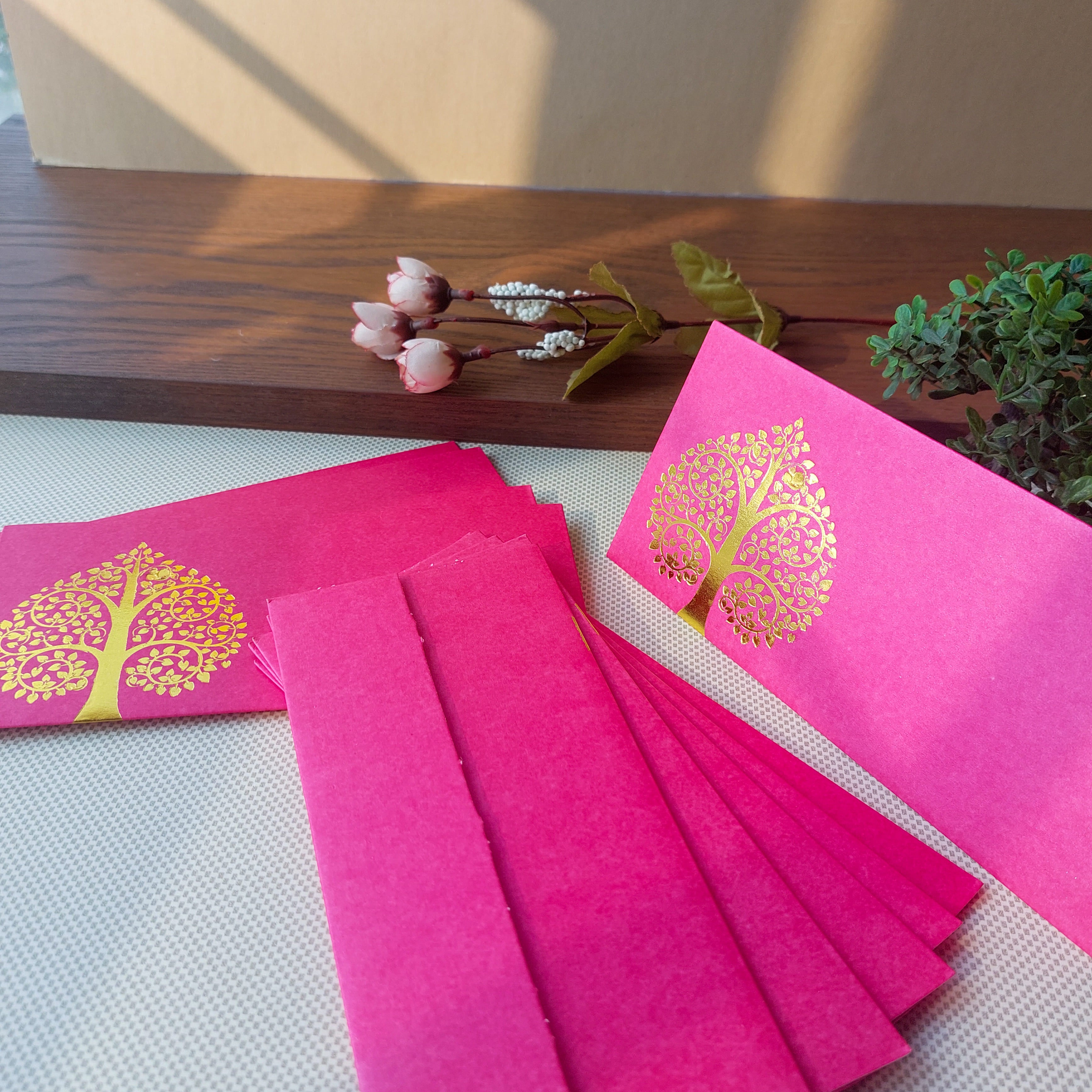Envelopes Solid Color 10pc Set