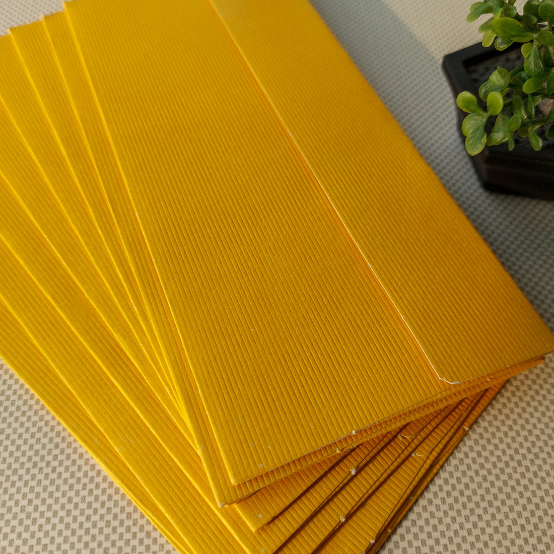 Envelopes Solid Color 10pc Set