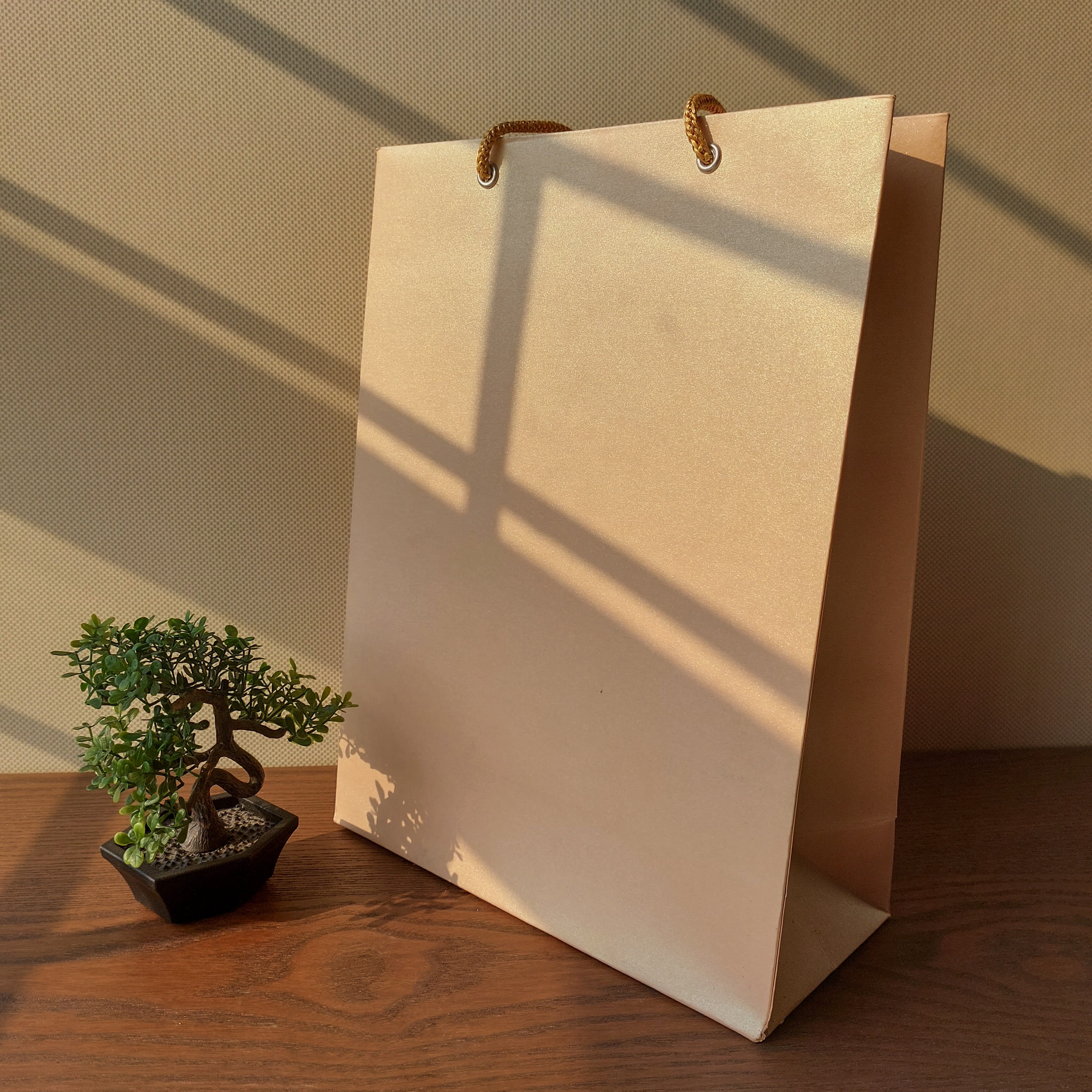 Color Gift Bags 3pc Set 12x9