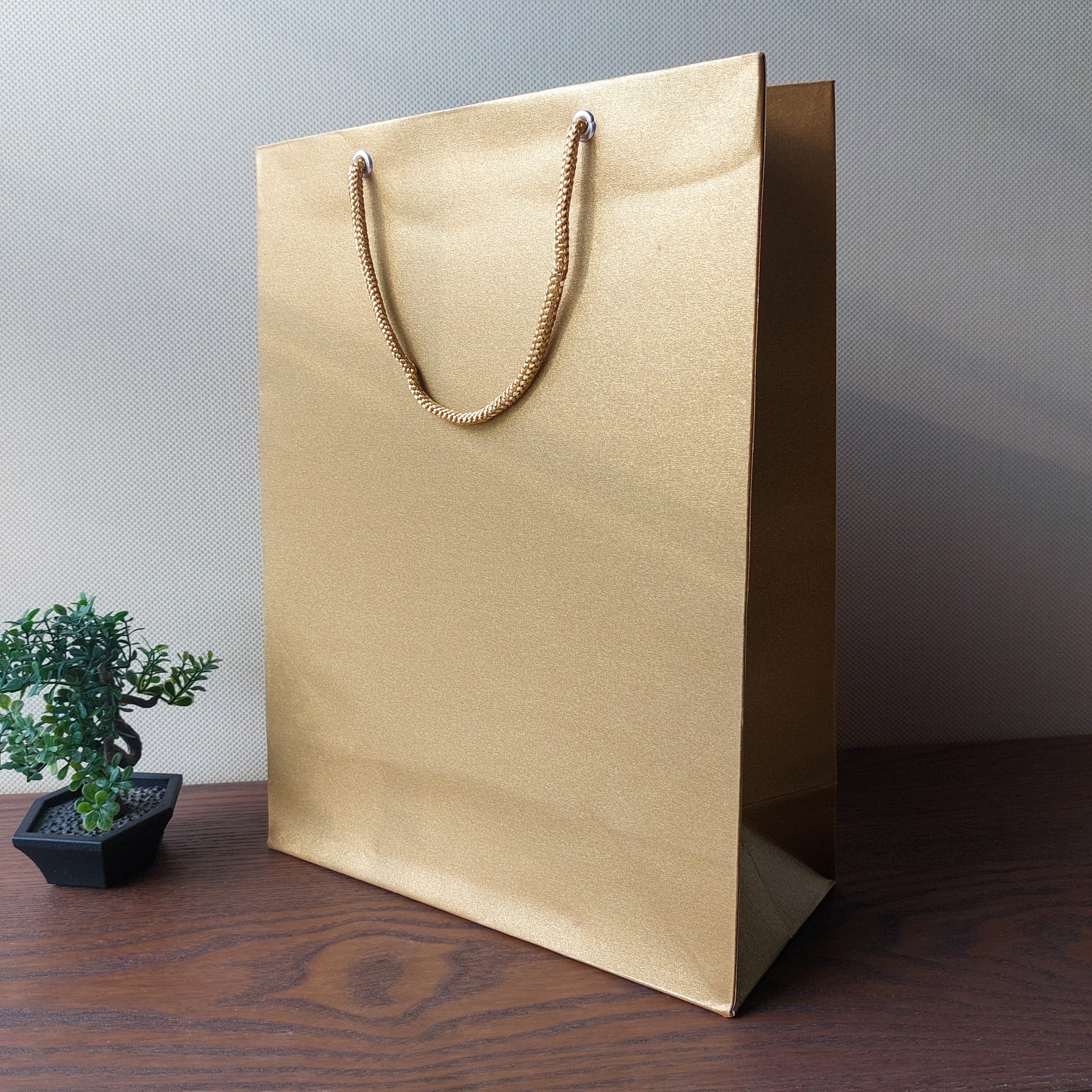 Color Gift Bags 6pc Set 12x9