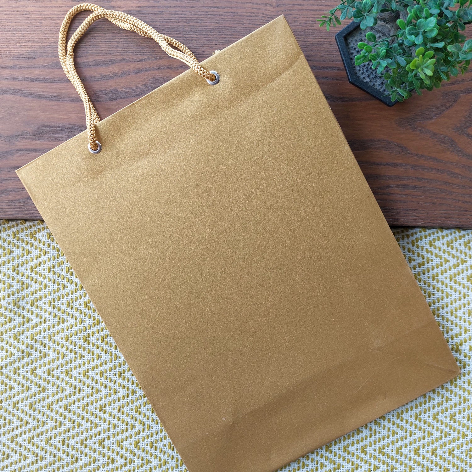 Color Gift Bags 6pc Set 12x9