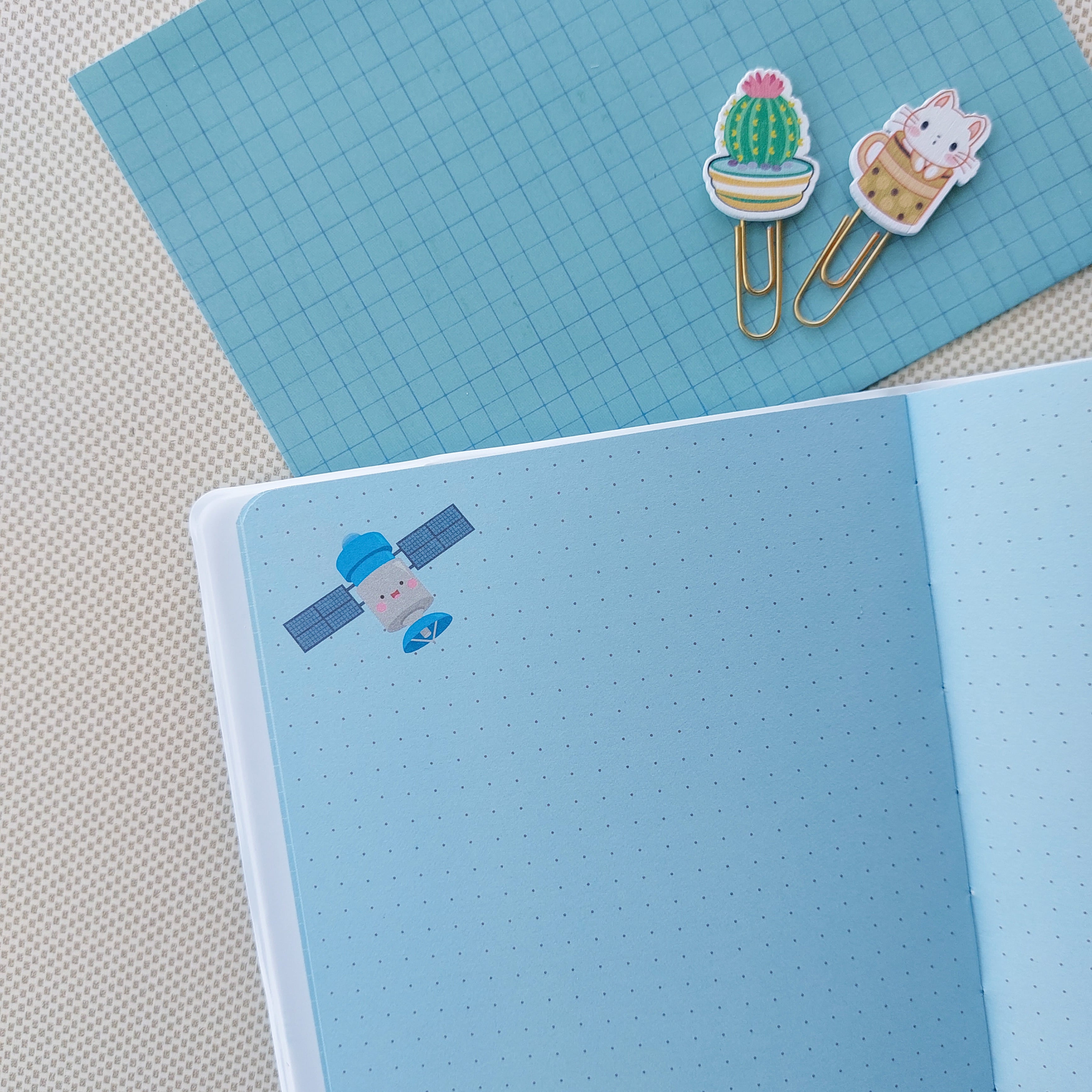 3D Zorse Magnetic Ruled Diaries
