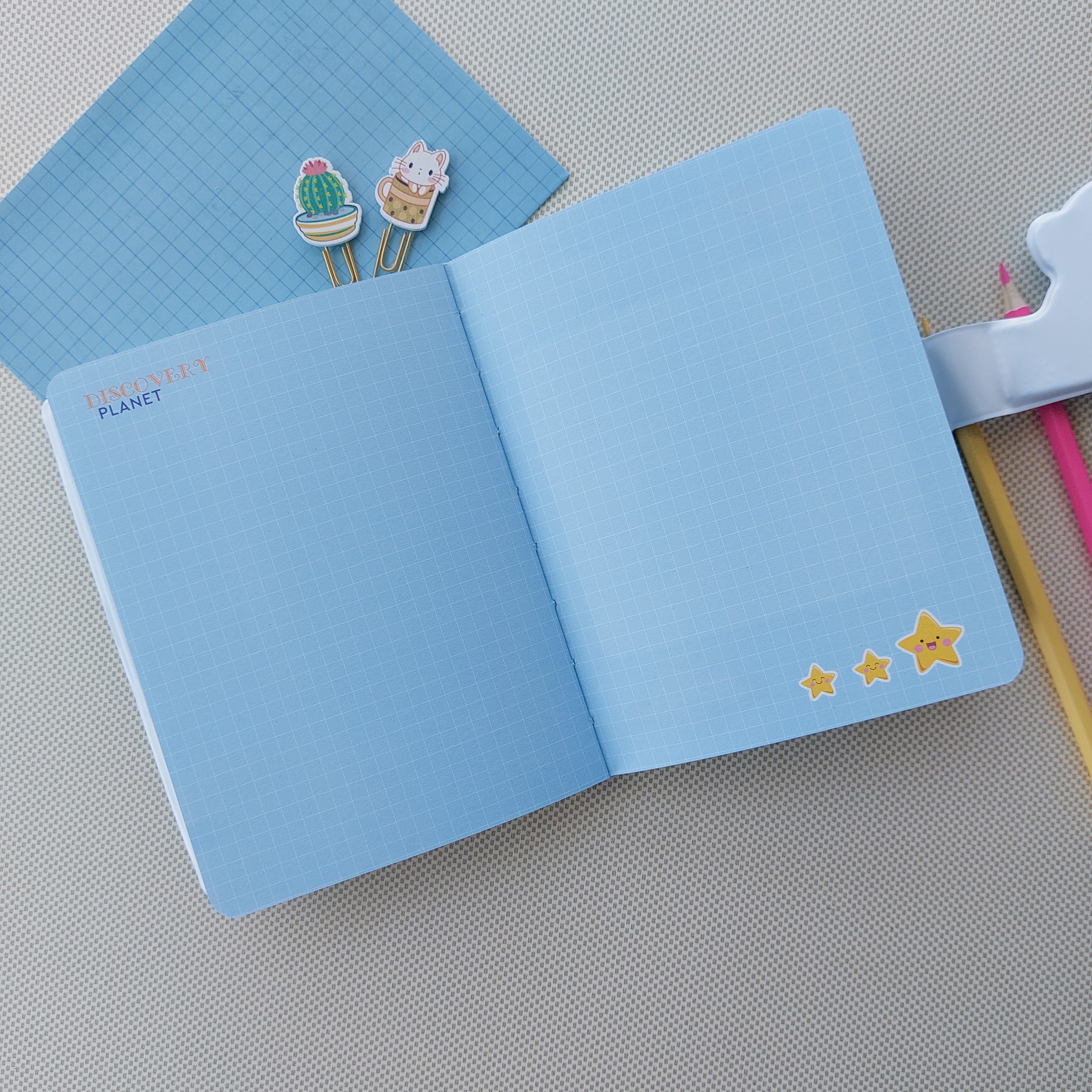 3D Zorse Magnetic Ruled Diaries