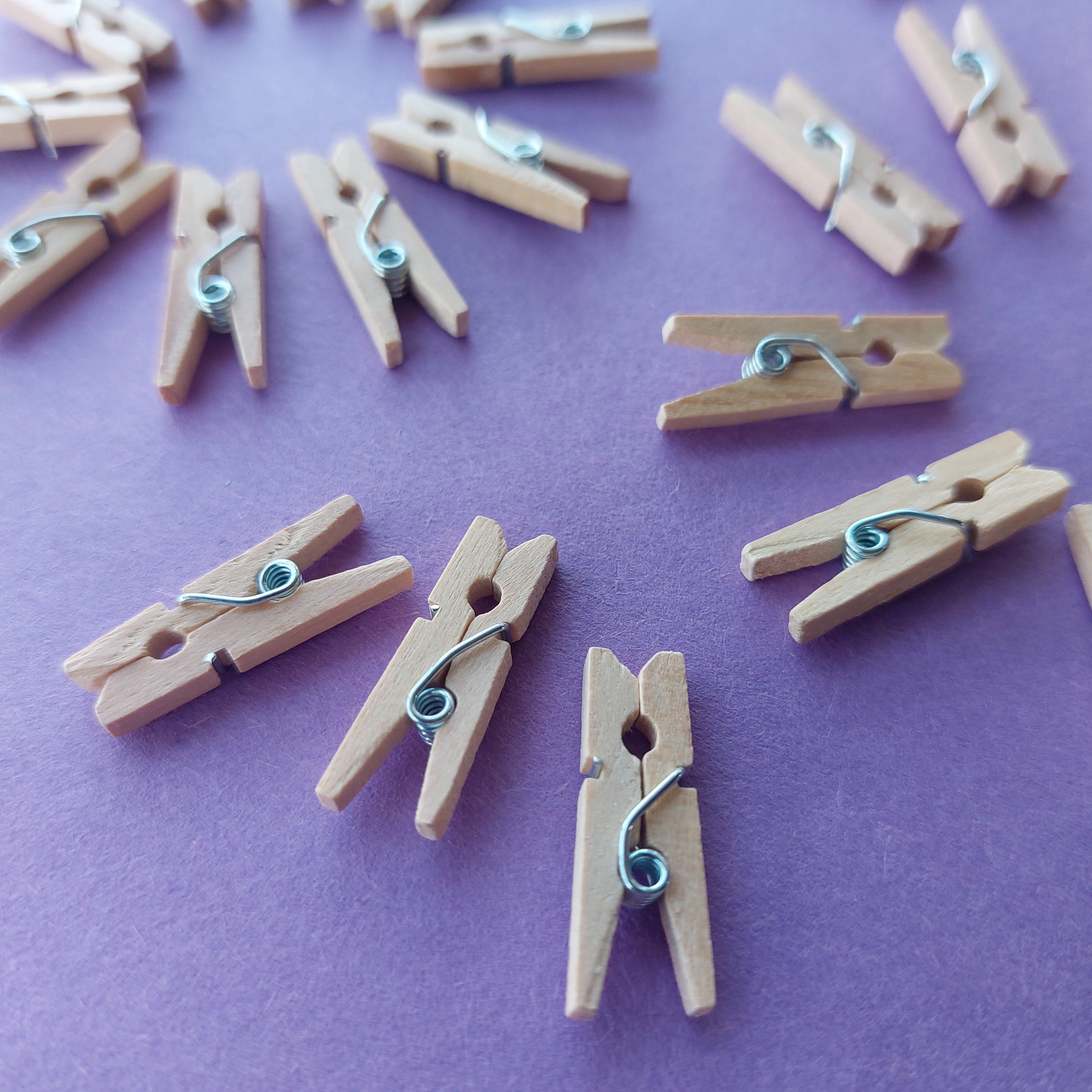 Mini Wooden Clips