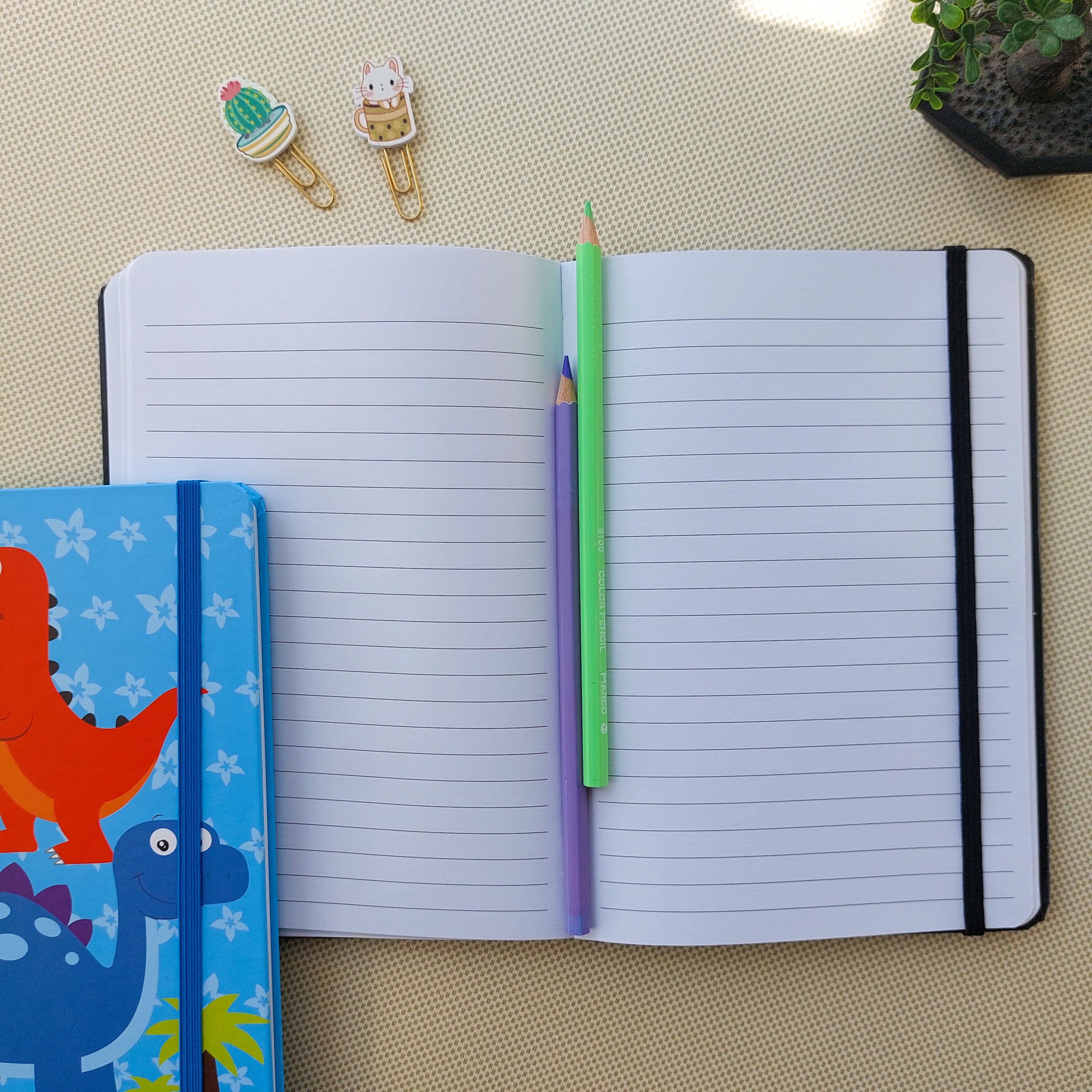 Space and Dino Themed Ruled Diaries A6