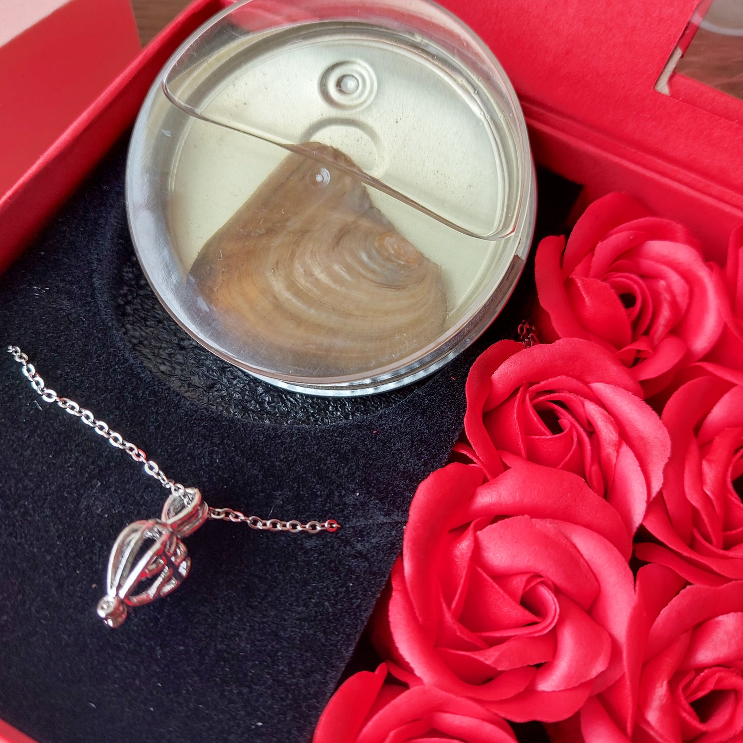 Roses Flower Case With Pearl and Locket