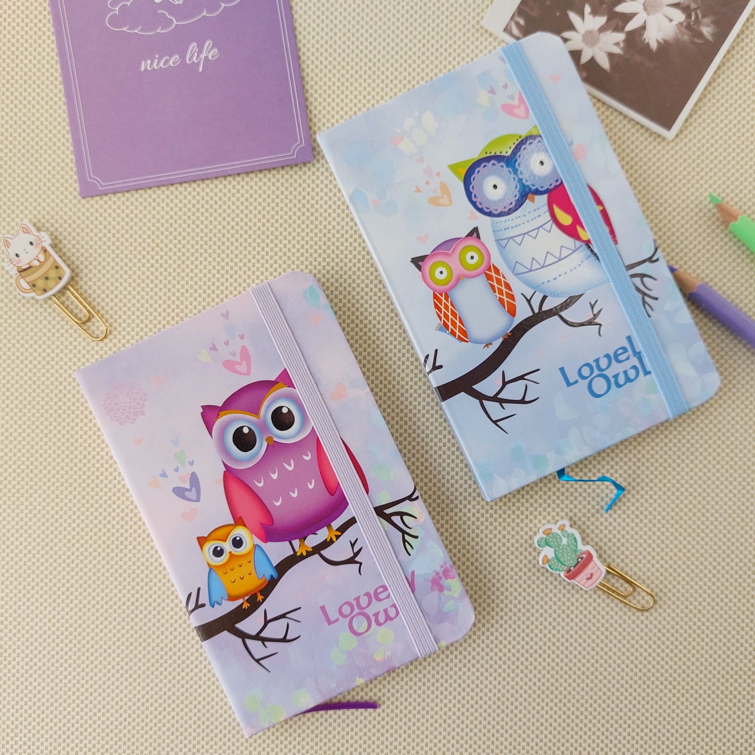 Owl Series Ruled Diaries A6