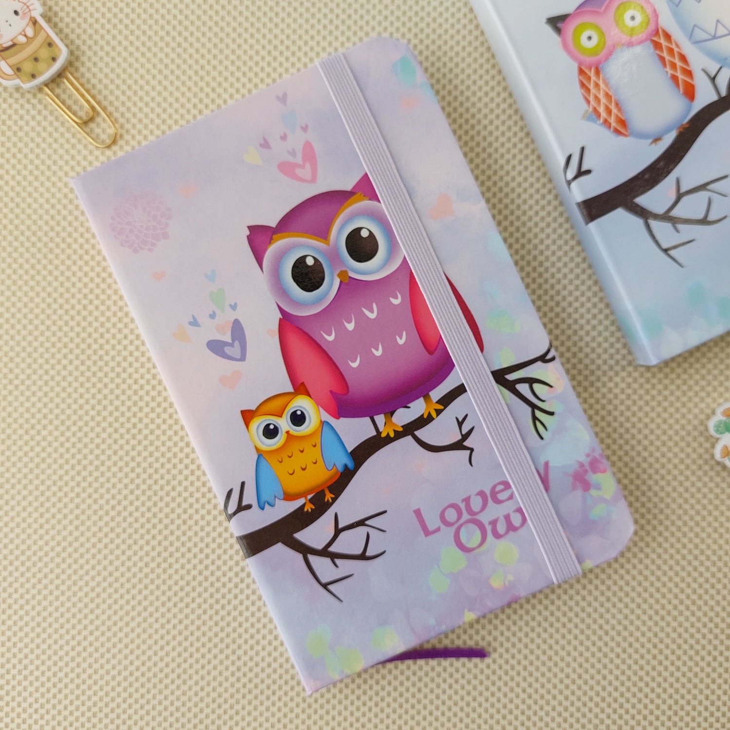 Owl Series Ruled Diaries A6