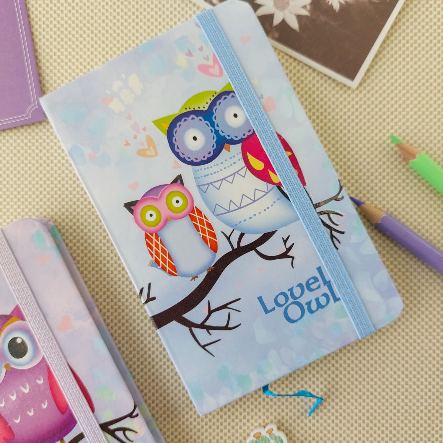 Owl Series Ruled Diaries A6