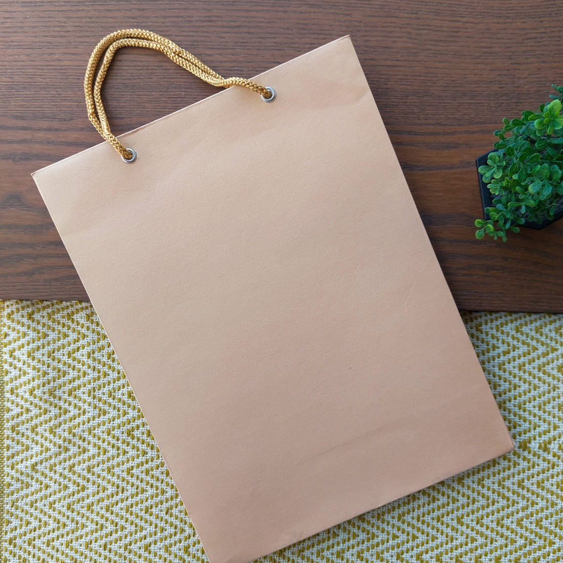Color Gift Bags 3pc Set 12x9